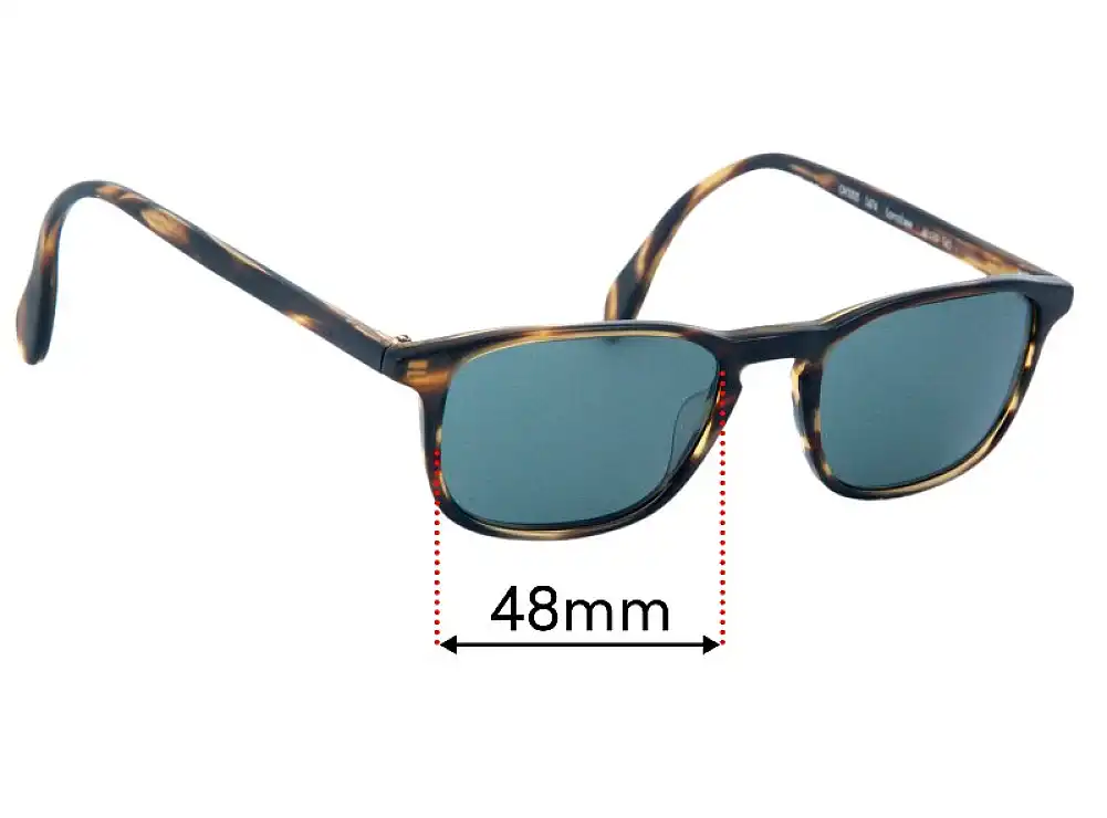 Oliver Peoples OV5005 Larrabee 48mm Replacement Lenses